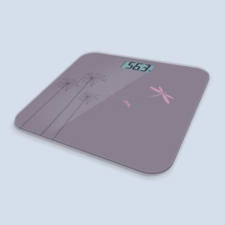 Picture for category Bathroom Scales