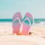 Picture of Flip Flops
