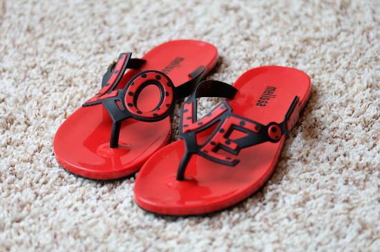 Picture of Flip Flops